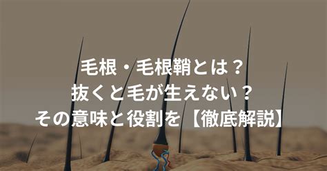 毛根鞘 気持ちいい|毛根鞘の役割とは？食べる人もいる？抜け毛・薄毛との関係性。